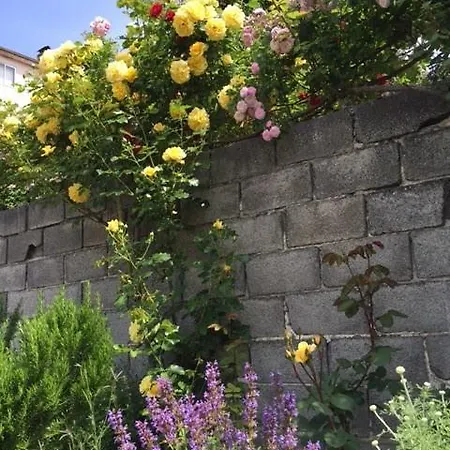 Restaurant Jose Luis *