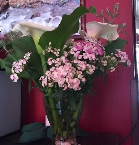 Restaurant Jose Luis イン *