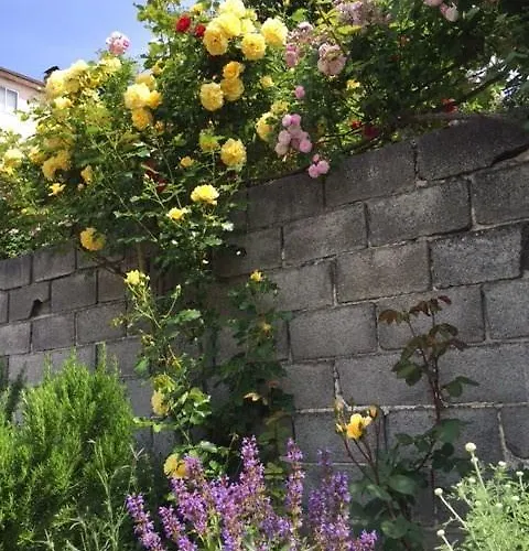 Restaurant Jose Luis *